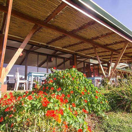 Chayote Lodge Zarcero Kültér fotó
