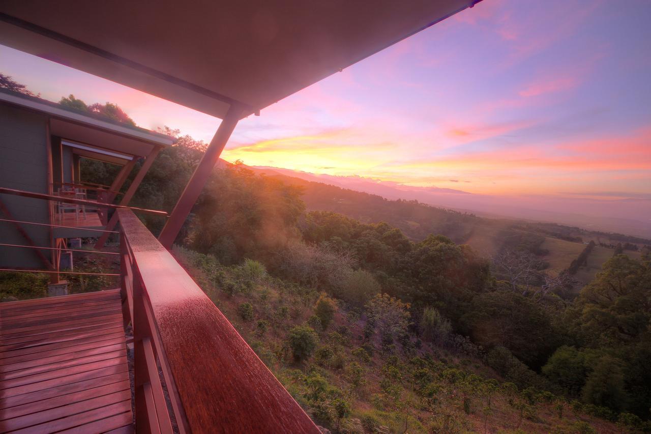 Chayote Lodge Zarcero Kültér fotó