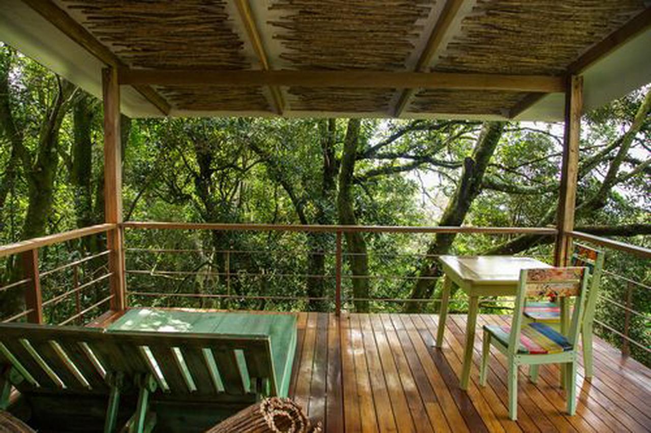 Chayote Lodge Zarcero Kültér fotó