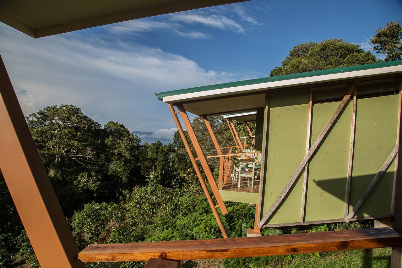 Chayote Lodge Zarcero Kültér fotó